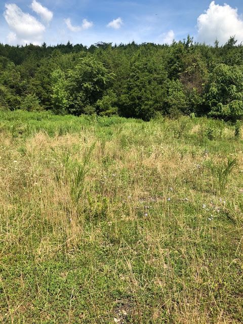 14355 US Highway 127 N, Frankfort, KY 40601